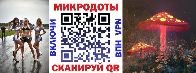Галлюциногенные грибы Psilocybine cubensis купить Избербаш